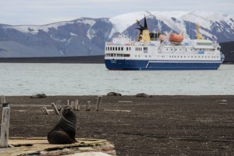 Explorer l’Antarctique : une croisière exclusive vers un continent sauvage et mystérieux