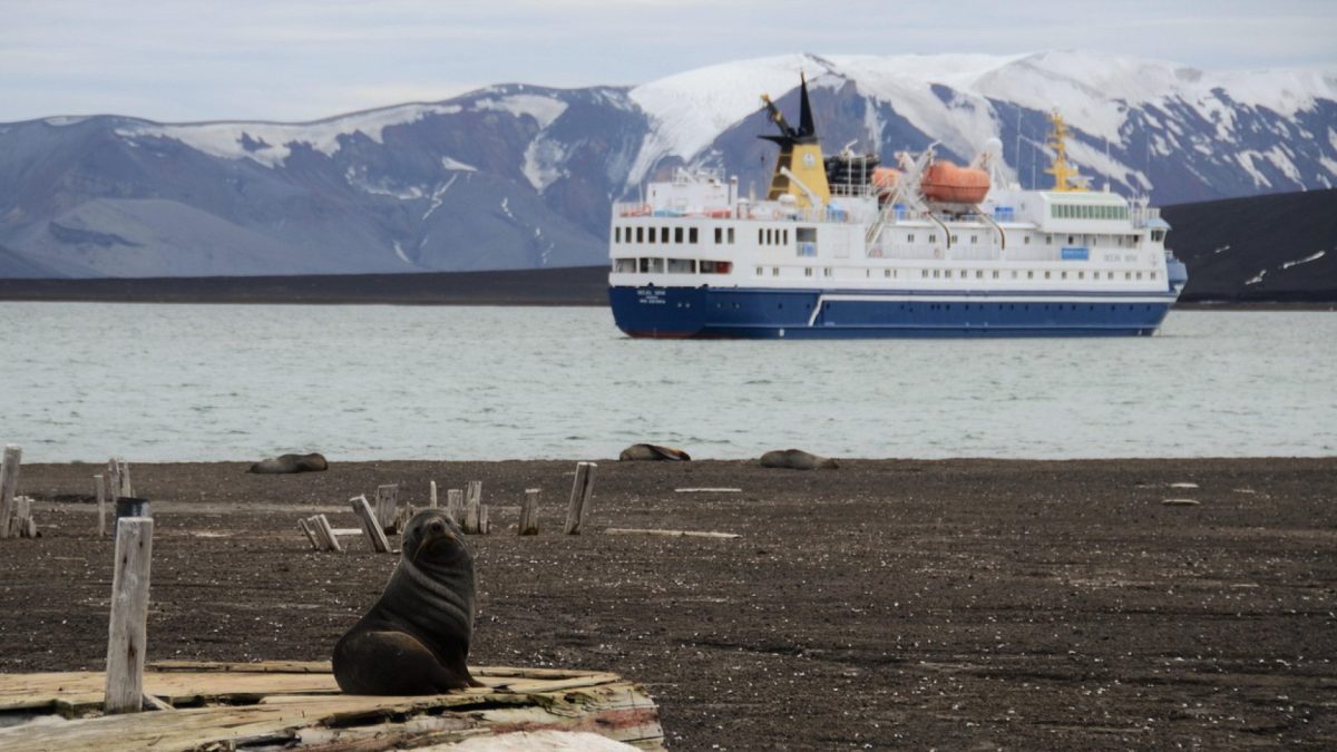 Explorer l’Antarctique : une croisière exclusive vers un continent sauvage et mystérieux