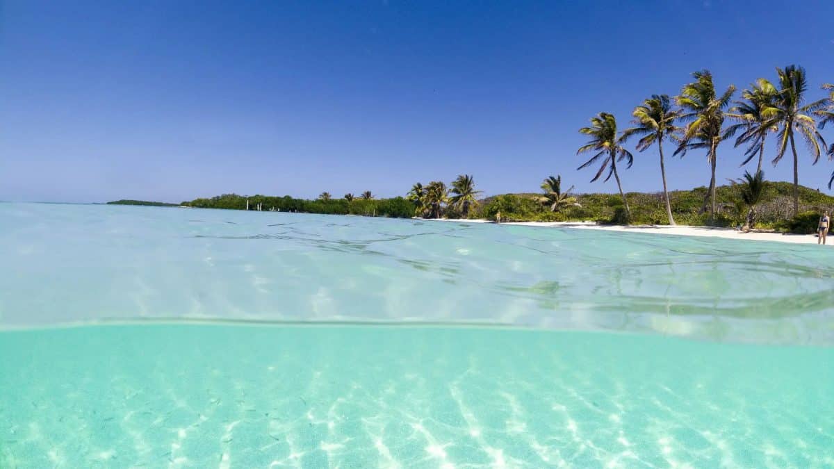 Holbox